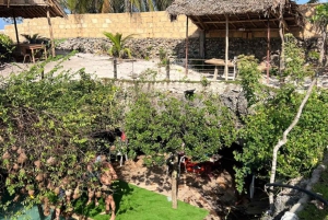 Занзибар: тур по лесу Джозани и заповеднику морских черепах