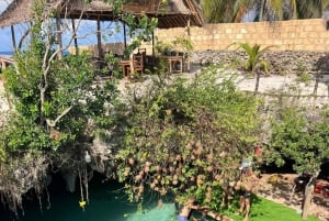 Занзибар: тур по лесу Джозани и заповеднику морских черепах