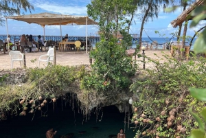 Занзибар: тур по лесу Джозани и заповеднику морских черепах