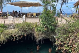 Занзибар: тур по лесу Джозани и заповеднику морских черепах