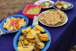 Zanzibar: Jozani-bos, Salaam-grot & Mtende-strandtour