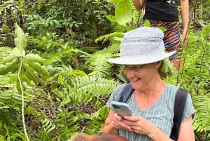 Zanzibar: Jozani-bos, Salaam-grot & Mtende-strandtour