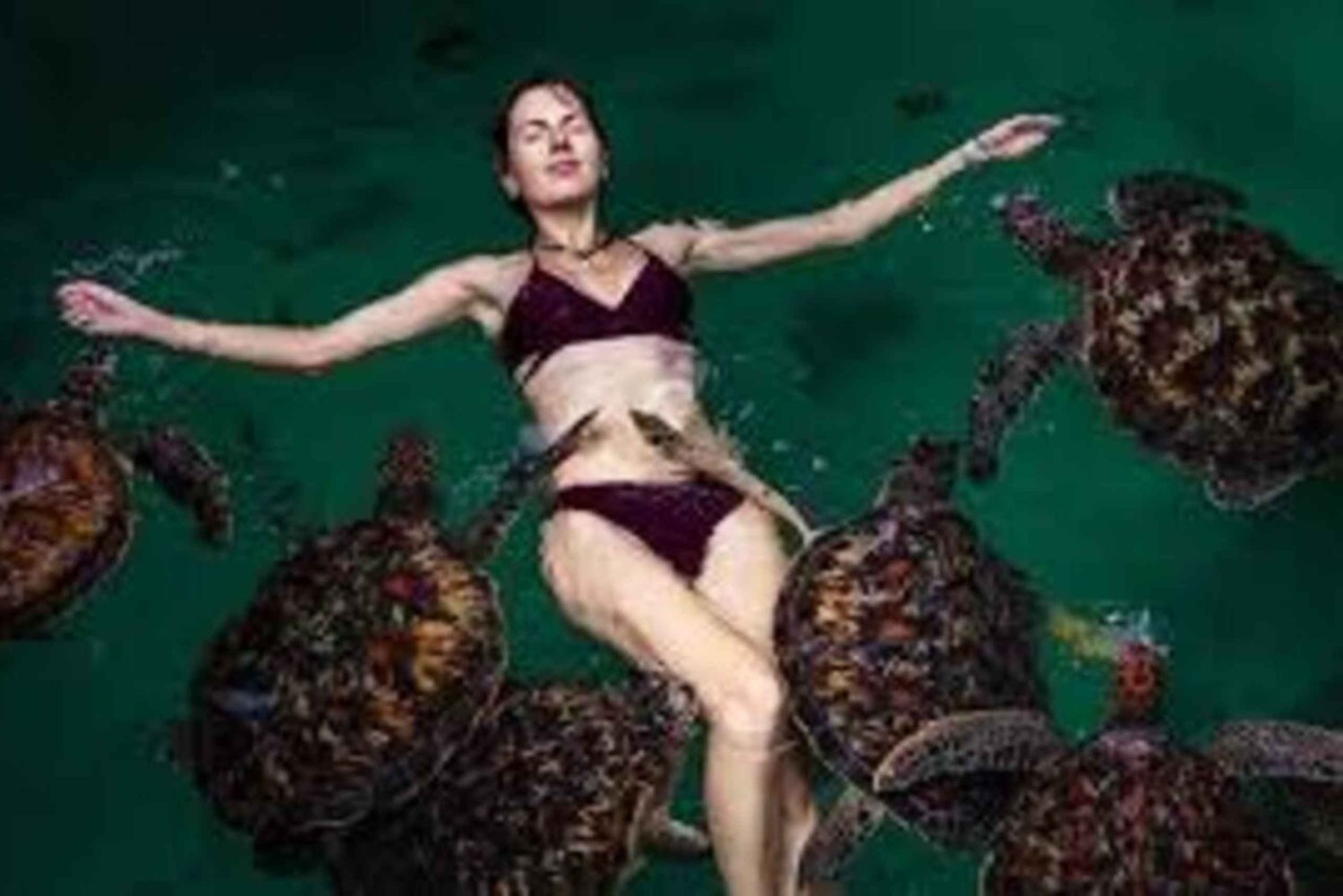 Zanzibar: Spice Farm, Jozani Forest & Swim with Turtles Tour