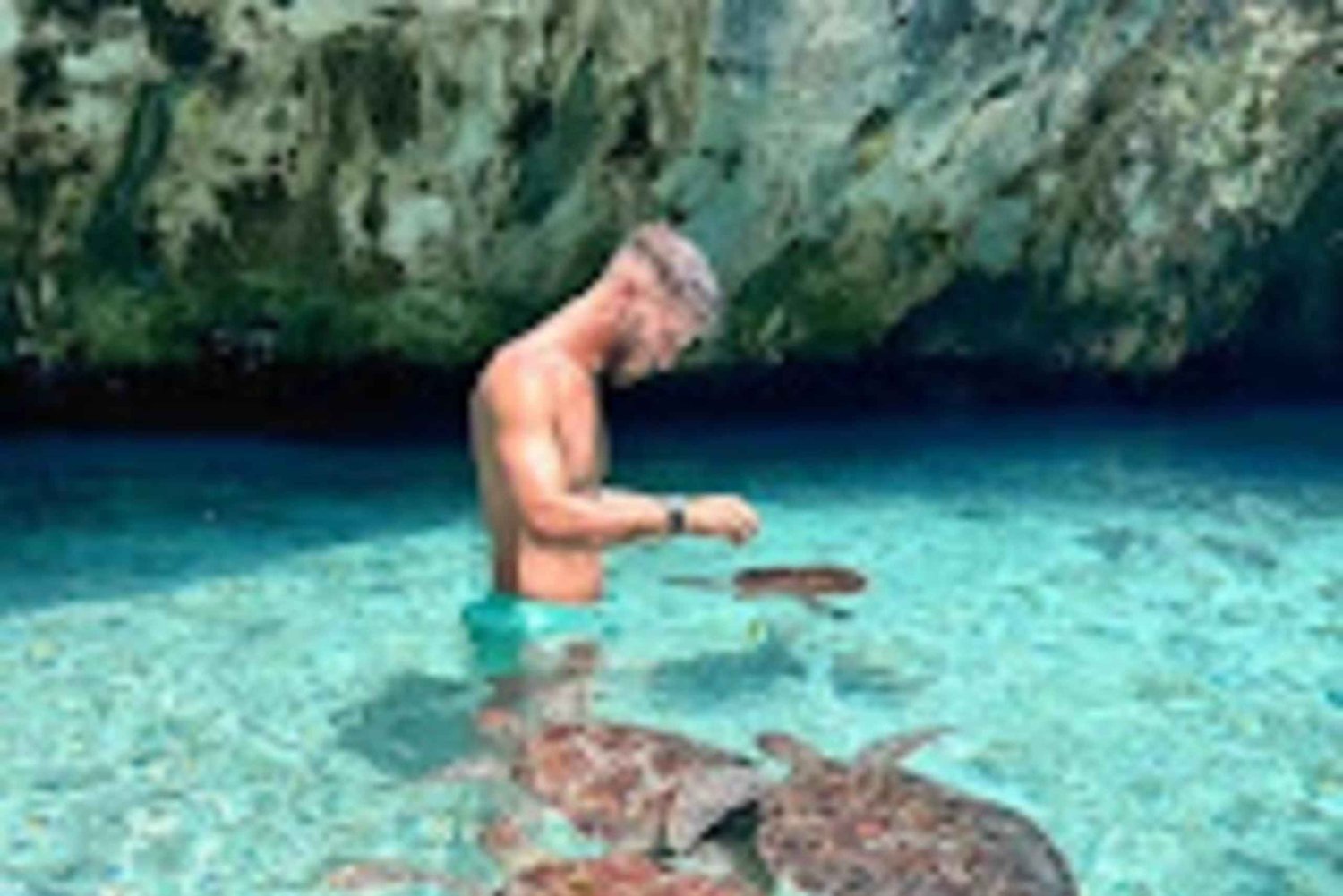 Zanzibar: Spice Farm, Jozani Forest & Swim with Turtles Tour