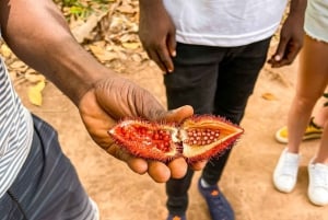 Zanzibar: Jozani-metsä, mausteviljelmä ja kokkauskurssi