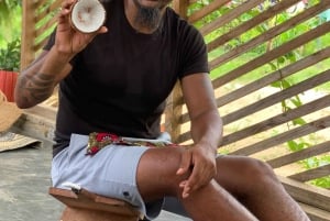 Zanzibar: Jozani-metsä, mausteviljelmä ja kokkauskurssi