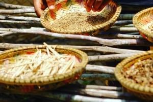 Zanzibar: Jozani-metsä, mausteviljelmä ja kokkauskurssi