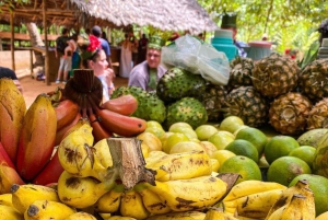 Zanzibar: Jozanin metsä, maustefarmi ja Kivikaupungin yksityinen kierros