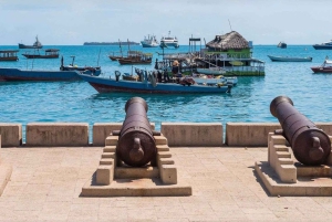 Zanzibar: Jozanin metsä, maustefarmi ja Kivikaupungin yksityinen kierros