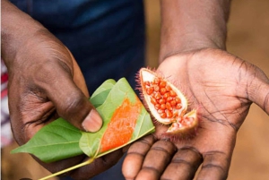 Zanzibar: Jozanin metsä, maustefarmi ja Kivikaupungin yksityinen kierros