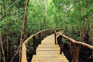 Zanzibar: Floresta de Jozani, Quinta de Especiarias, Passeio Privado pela Cidade de Pedra