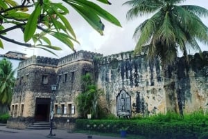 Zanzibar: Floresta de Jozani, Quinta de Especiarias, Passeio Privado pela Cidade de Pedra