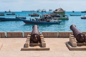 Zanzibar: Floresta de Jozani, Quinta de Especiarias, Passeio Privado pela Cidade de Pedra
