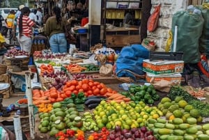 Zanzibar: Floresta de Jozani, Quinta de Especiarias, Passeio Privado pela Cidade de Pedra