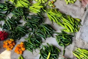 Zanzibar: Floresta de Jozani, Quinta de Especiarias, Passeio Privado pela Cidade de Pedra