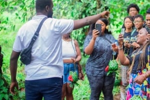 Zanzibar : forêt de Jozani, ferme aux épices et Stone Town