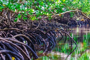 Zanzibar: Jozani Forest, Spice Farm, & Stone Town with Guide