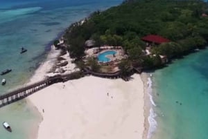 Zanzibar: Foresta di Jozani, piantagioni di spezie e Prison Island