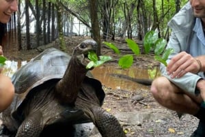 Zanzibar: Foresta di Jozani, piantagioni di spezie e Prison Island