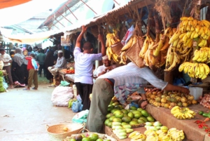 Zanzibar: Jozani-metsä, mausteviljelmät ja Stone Town -kierros