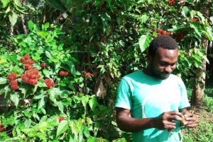 Zanzibar: Jozani-metsä, Stone Town ja mausteviljelmät