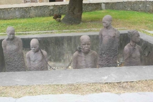 Zanzibar: Jozani-metsä, Stone Town ja mausteviljelmät