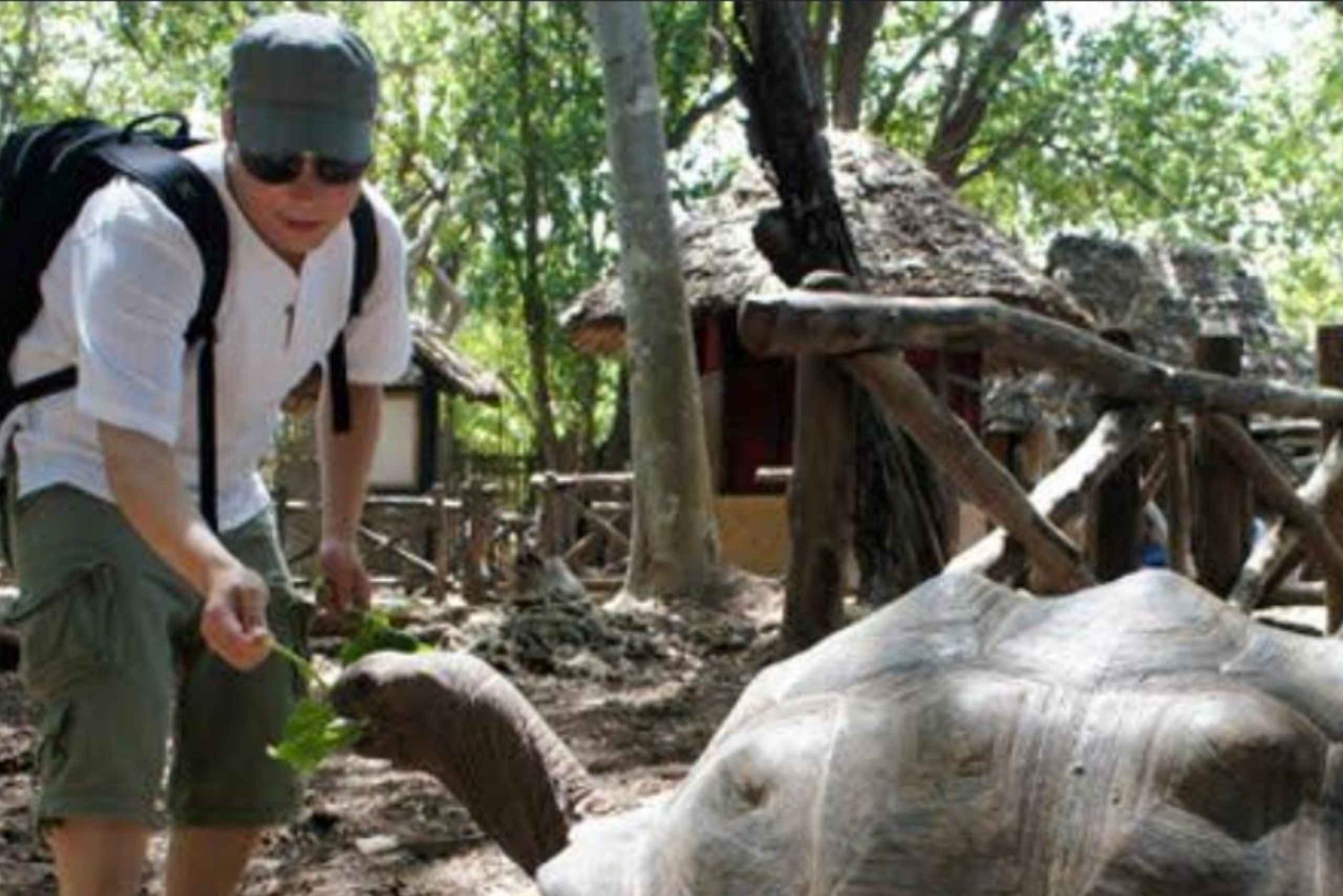 Zanzibar: Jozani-skogen, tur i Stone Town og Prison Island