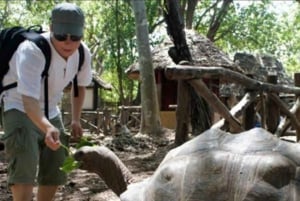 Zanzibar: Jozani-skogen, tur i Stone Town og Prison Island