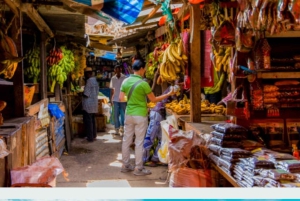 Zanzibar: Jozani-skogen, tur i Stone Town og Prison Island