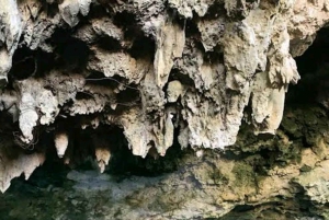 Zanzibar: Las Jozani, jaskinia Swahili i plaża Mtende