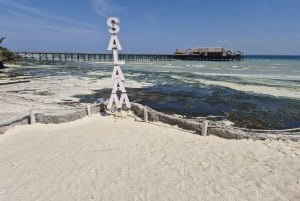 ZANZIBAR : FORÊT DE JOZANI, NAGE AVEC LES TORTUES MARINES ET EXCURSION EN KAYAK