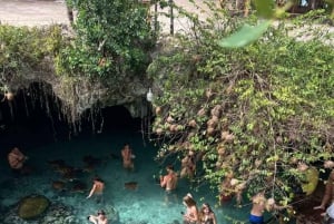 ZANZIBAR : FORÊT DE JOZANI, NAGE AVEC LES TORTUES MARINES ET EXCURSION EN KAYAK