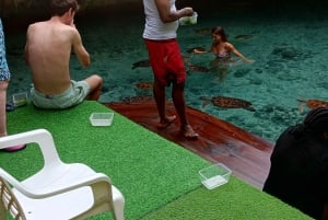 ZANZIBAR : FORÊT DE JOZANI, NAGE AVEC LES TORTUES MARINES ET EXCURSION EN KAYAK