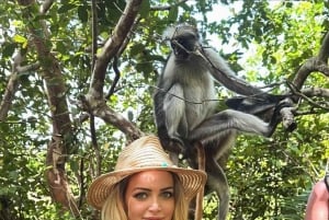 Zanzibar : Visite de la forêt de Jozani et du restaurant The Rock