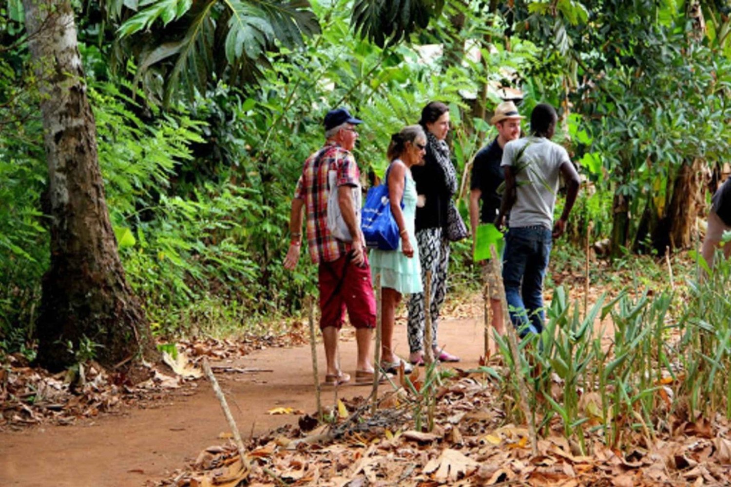 Zanzibar: Tur i Jozani-skogen og utflukt til krydderfarm med lunsj