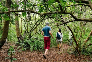 Zanzibar: Tur i Jozani-skogen og utflukt til krydderfarm med lunsj
