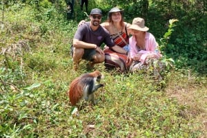ZANZIBAR: Tur i Jozani-skogen med en profesjonell guide