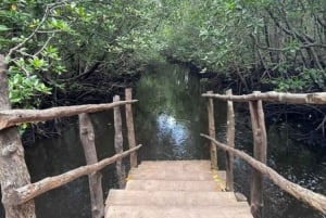 ZANZIBAR: Tur i Jozani-skogen med en profesjonell guide