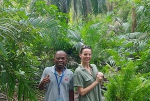 ZANZIBAR: Tur i Jozani-skogen med en profesjonell guide