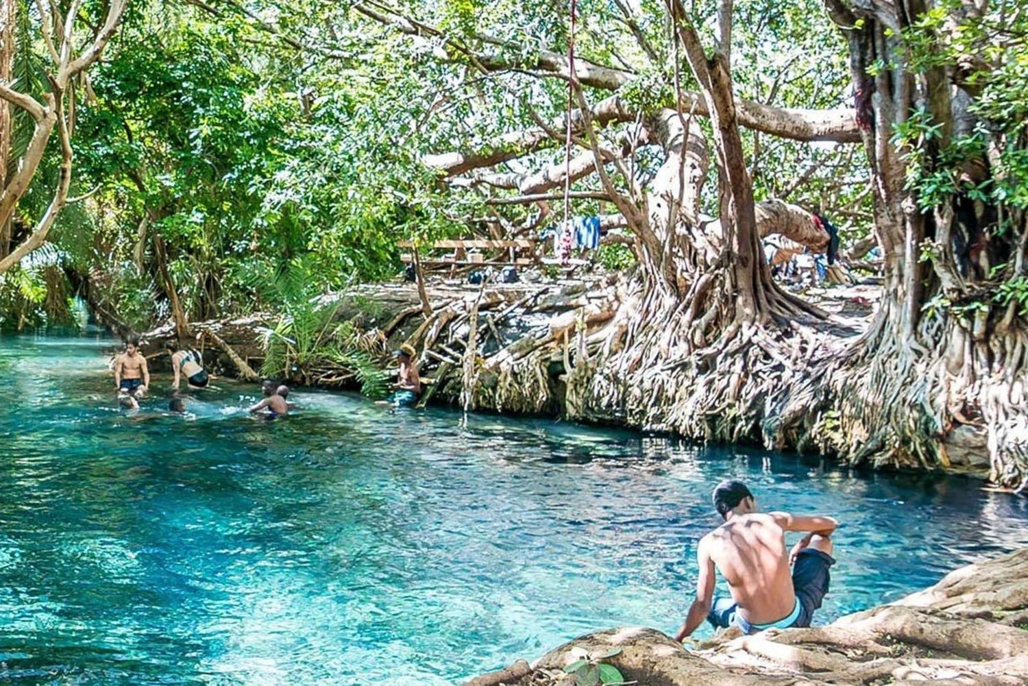 Zanzibar: Guidad tur i Jozani-skogen för att titta på Colobus-apor