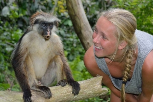 ザンジバル：ジョザニの森 コロブスザル観察ガイドツアー