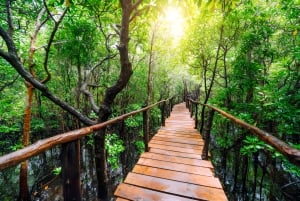 Zanzibar: Guidad tur i Jozani-skogen för att titta på Colobus-apor