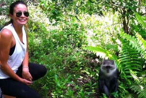 Zanzibar: Jozani Forest Watching Monkeys Half-Day Tour