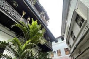 Zanzibar: Jozani-skogen med byvandring i Stone Town