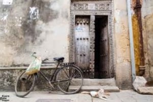 Zanzibar: Jozani-skogen med byvandring i Stone Town