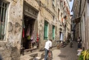 Zanzibar: Jozani-skogen med byvandring i Stone Town