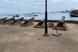 Zanzibar: Jozani-skogen, zipline och stadsvandring i Stone Town