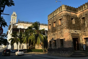 Zanzibar: Jozani-skogen, zipline och stadsvandring i Stone Town