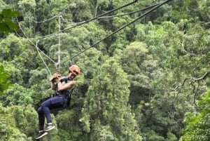 Zanzibar: Jozani-skogen, zipline och stadsvandring i Stone Town