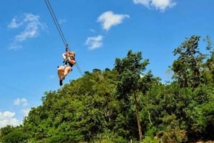 Zanzibar: Jozani-skogen, zipline och stadsvandring i Stone Town